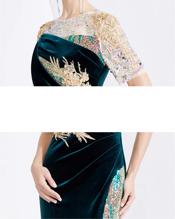 velvet embroidered gown with sequin illusion sleeves – EMERALD PLUME