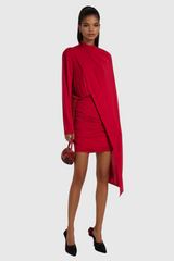Aileen Shawl Ruch Mini Dress