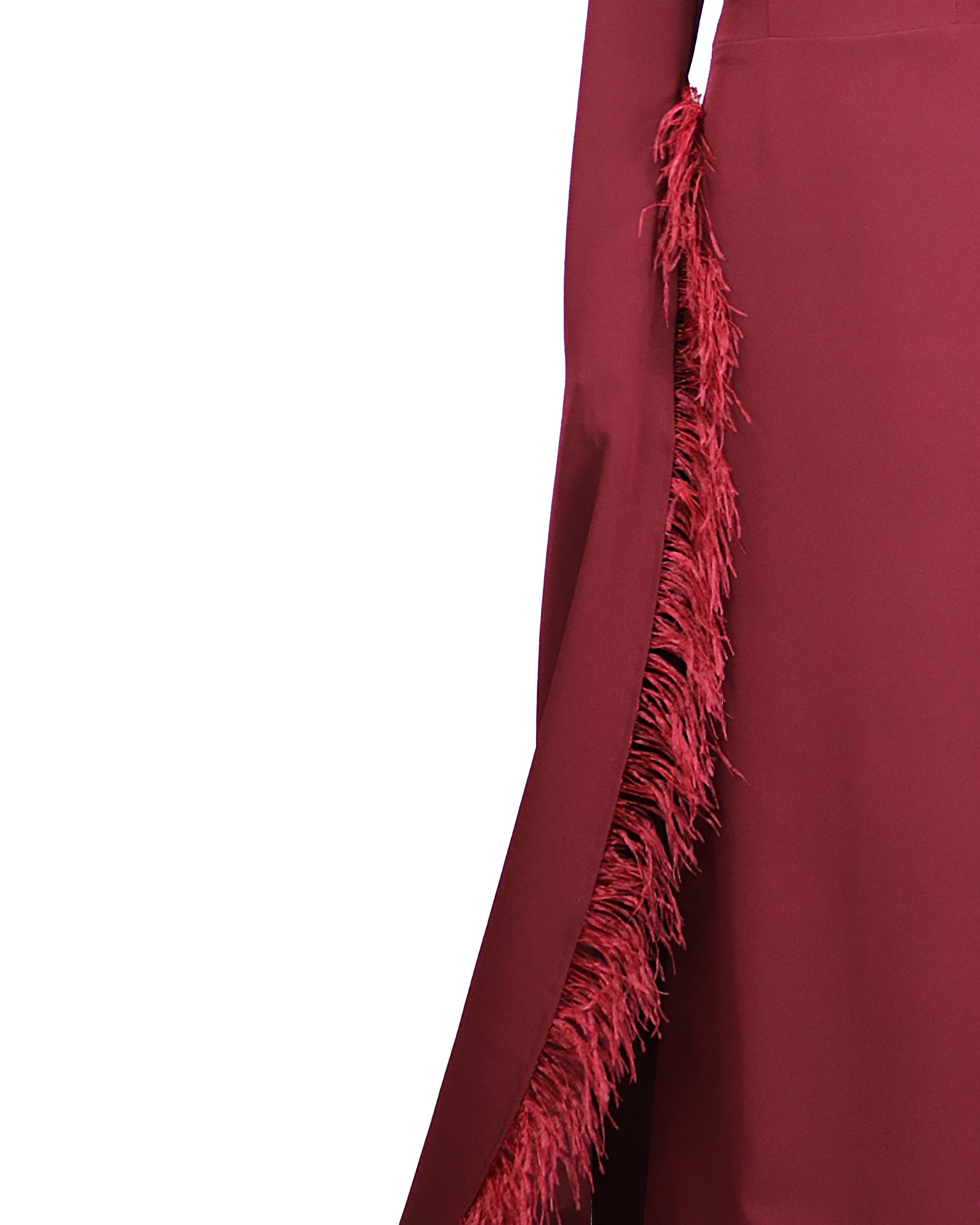 long floor sleeves dress with feathers - Zivah