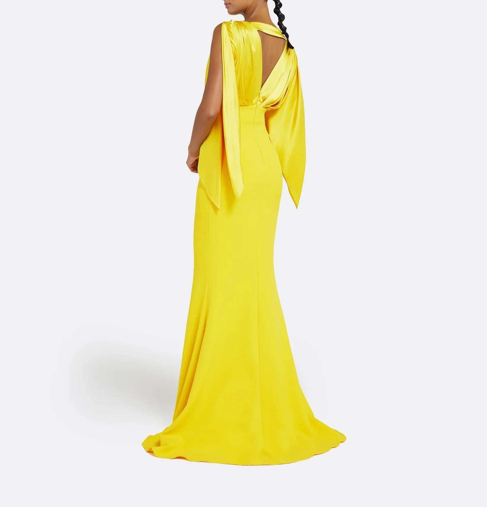 Plunge-neck column gown with draped sleeves - Dani