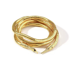 Snake-Inspired accessories Collection – Vantra