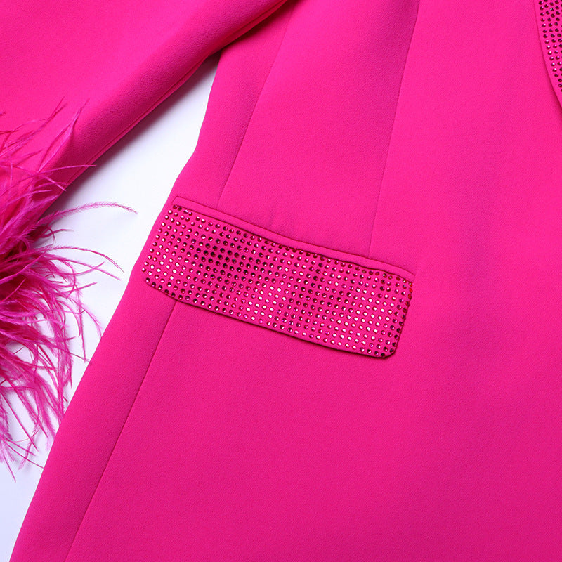 feather-cuff blazer with crystal lapels - Farwswe
