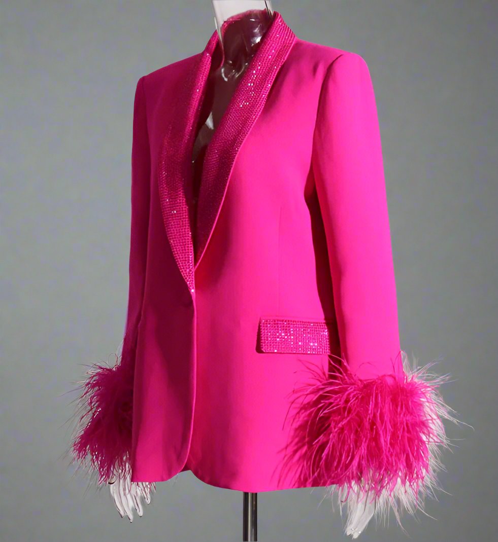 feather-cuff blazer with crystal lapels - Farwswe