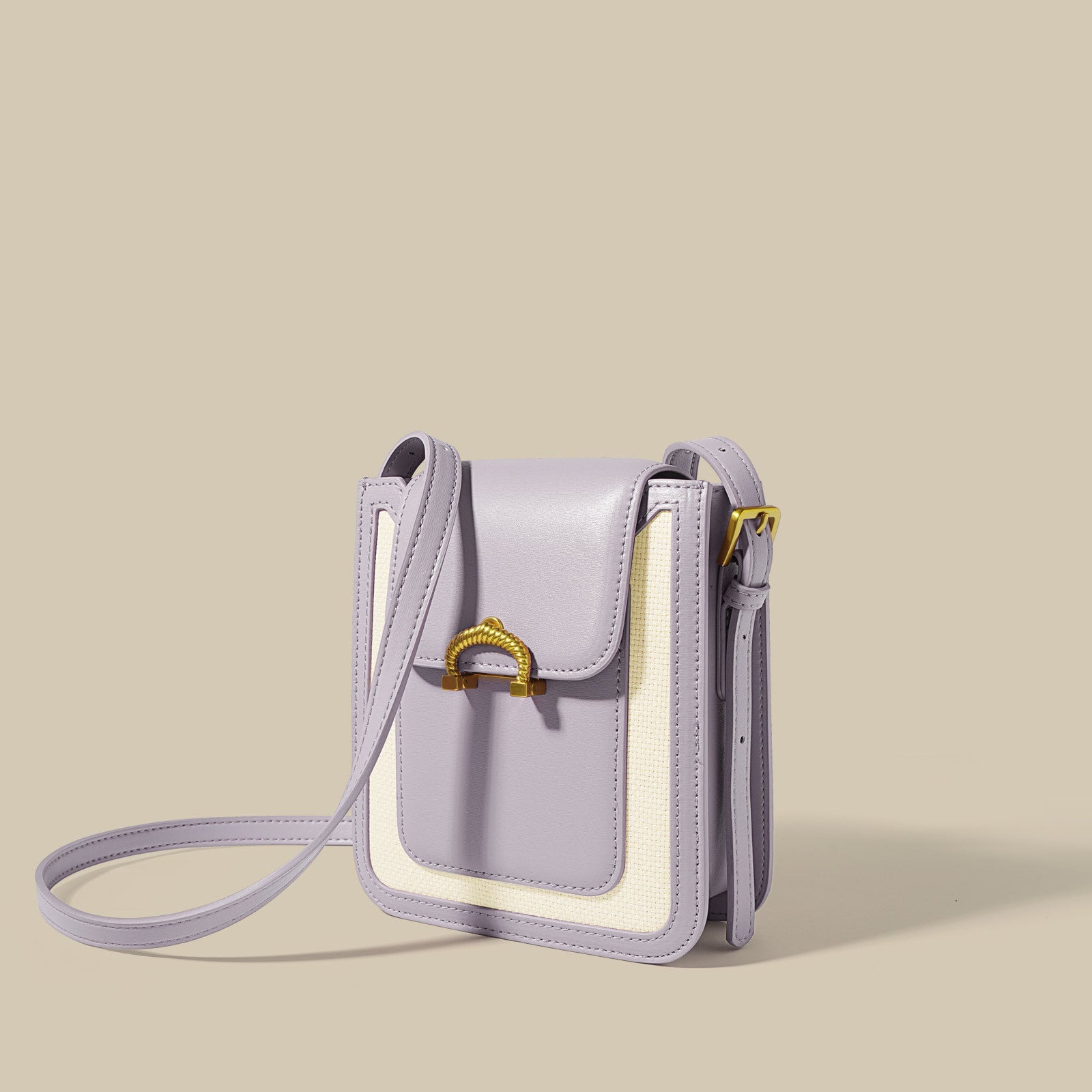 structured two-tone mini crossbody with gold hardware - ALYZA
