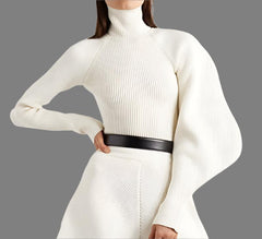ribbed turtleneck top with sculptural sleeve - Gajara