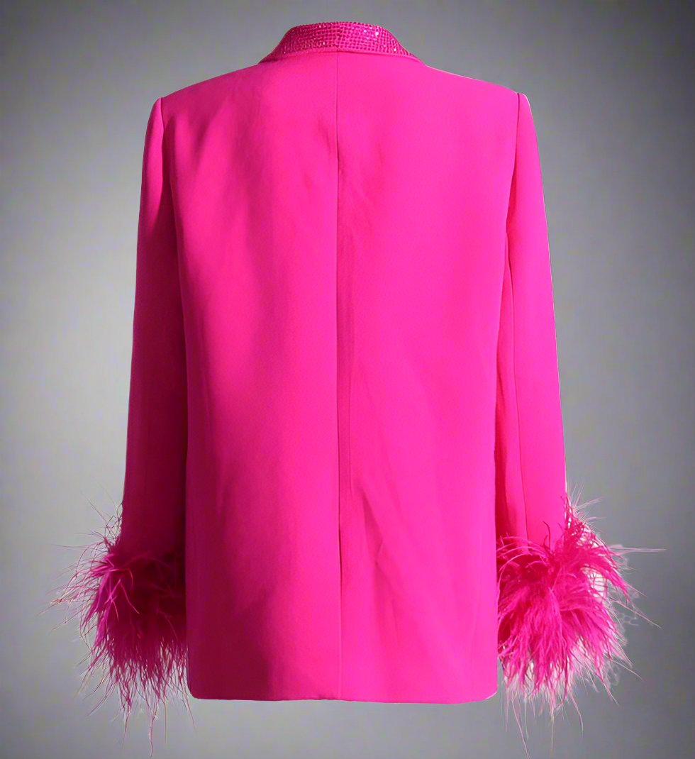 feather-cuff blazer with crystal lapels - Farwswe