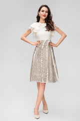 ruffle sleeve dress with sequin A-line skirt – Aafrreeda