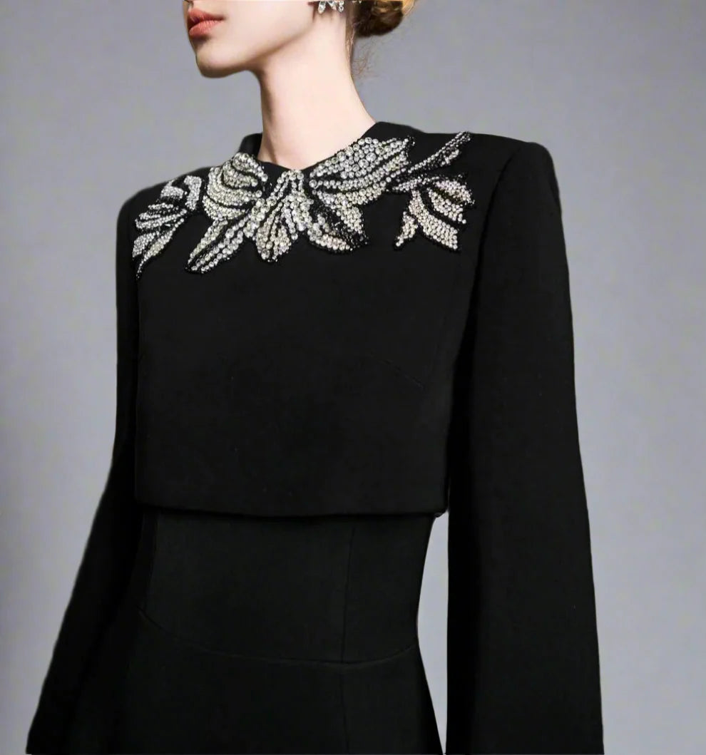 Vertical dress with long sleeves and decorated neck - elegance