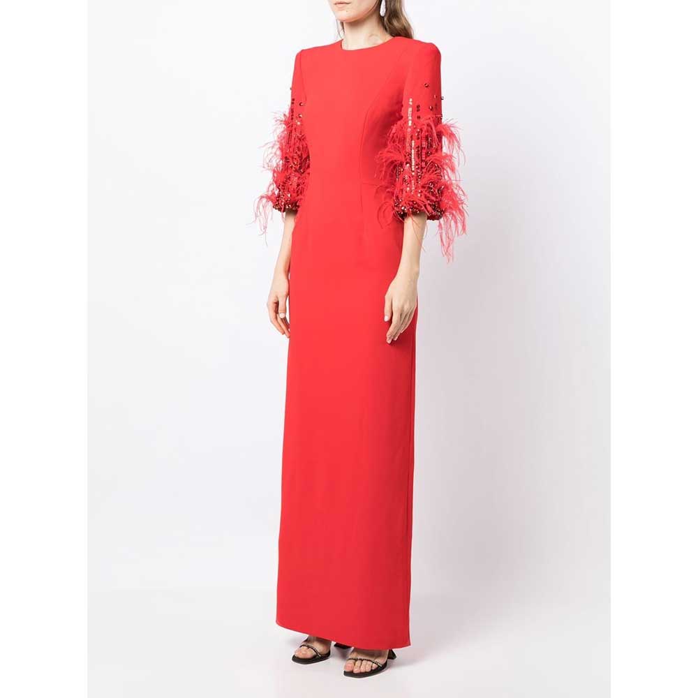 Feather-embellished sleeve gown – Zuleyhaa