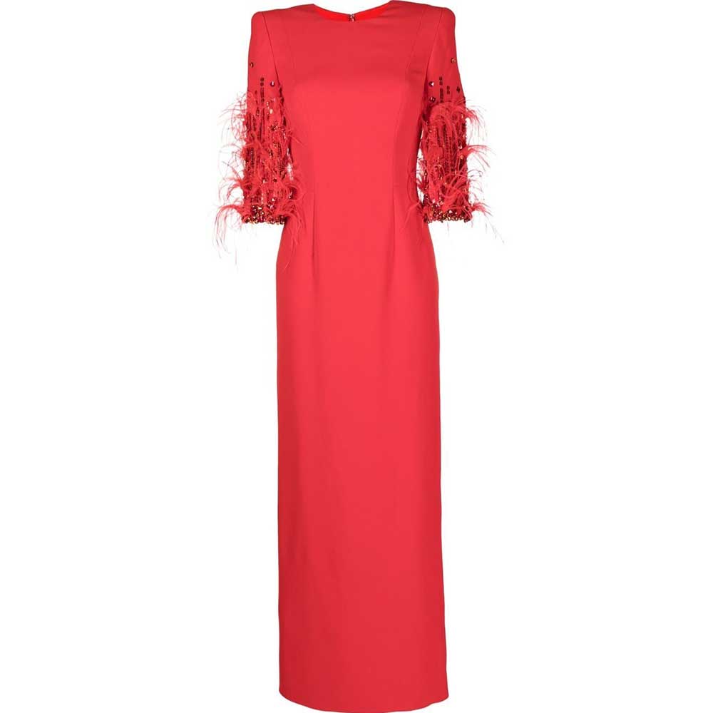 Feather-embellished sleeve gown – Zuleyhaa