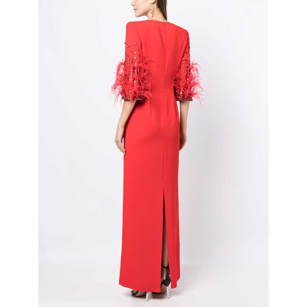 Feather-embellished sleeve gown – Zuleyhaa
