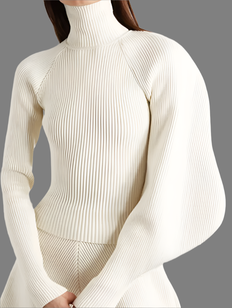 ribbed turtleneck top with sculptural sleeve - Gajara