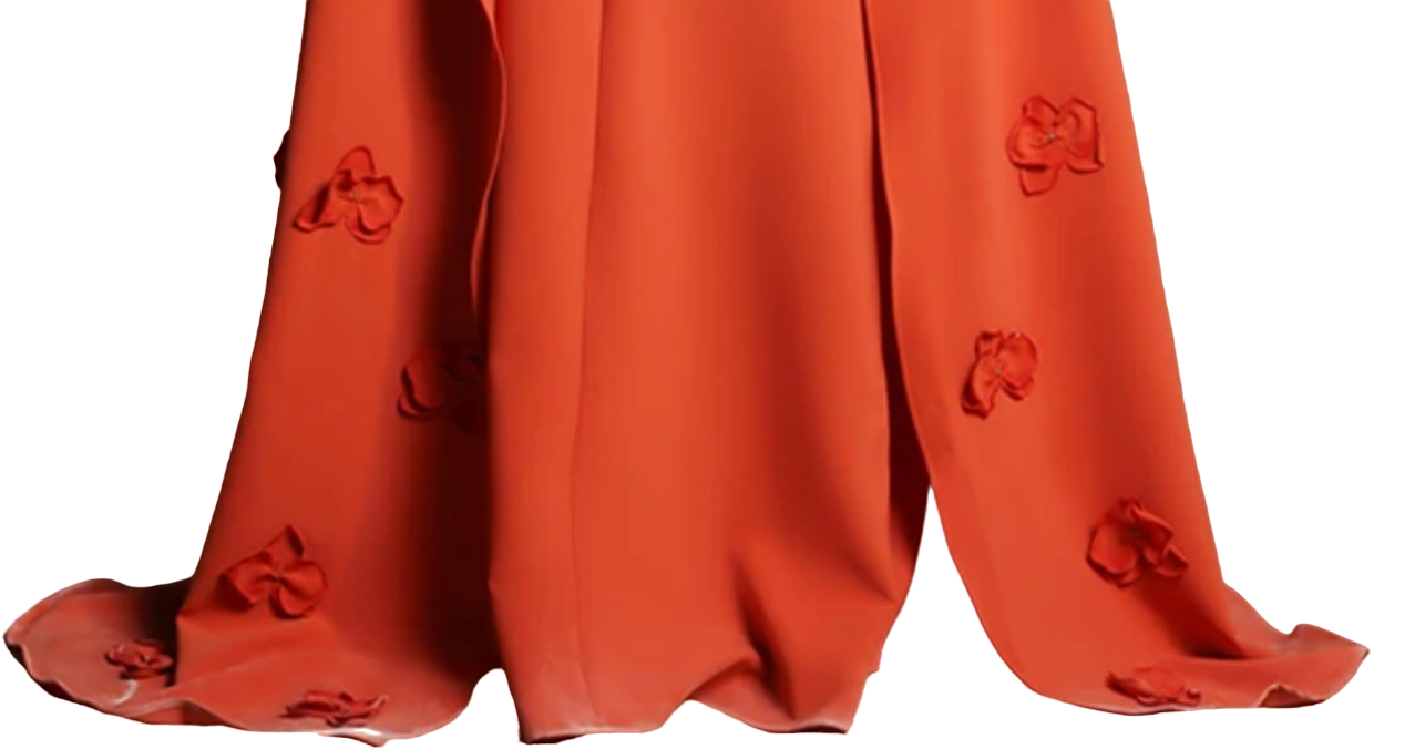 square-neck cape gown with floral appliqués – Ziyon