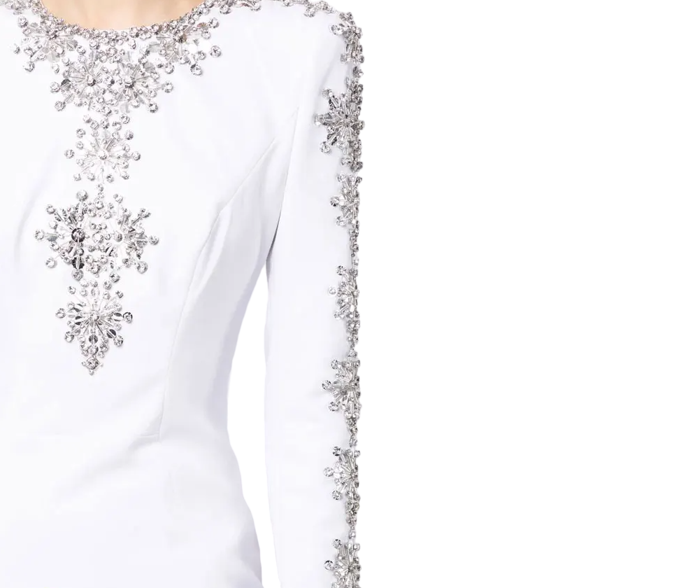 Embellished long-sleeve gown with fitted silhouette – Ziarre